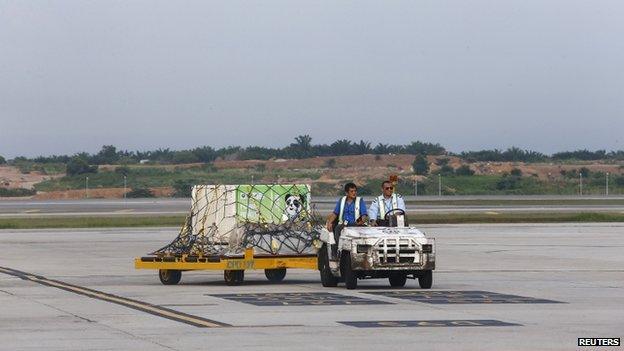 A cage holding a giant panda from China arrives at the MASkargo Complex in Sepang, outside Kuala Lumpur, 21 May