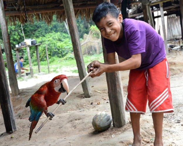 boy with parrot