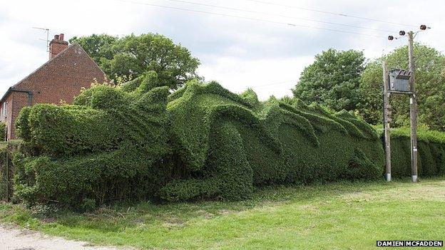 The dragon-style topiary