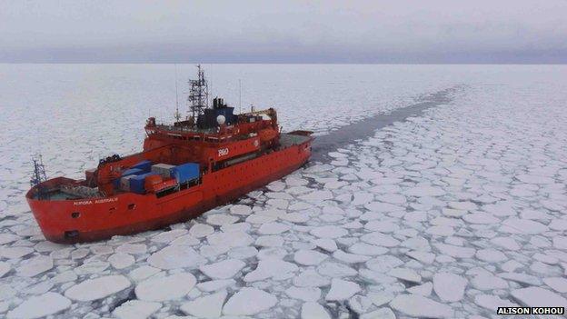 Sea ice Antarctic