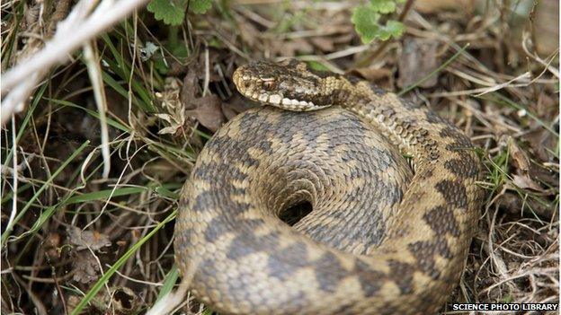 An adder