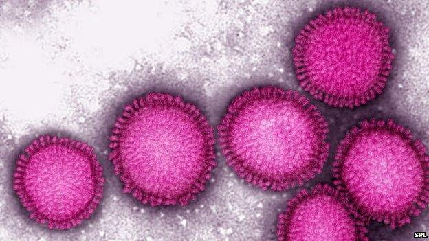 Influenza virus