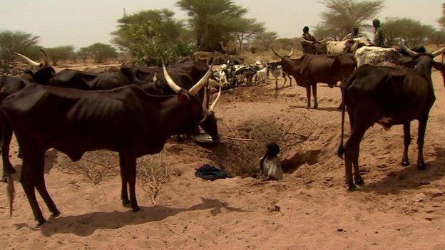 A Tuareg man getting water from a well for cattle, Niger