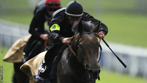 Andrea Atzeni on Kingston Hill