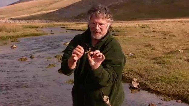 Bill Oddie holds a crayfish in Bill Oddie Goes Wild