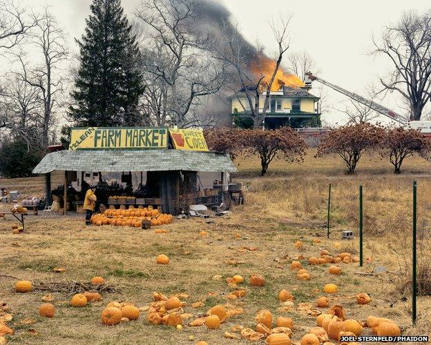 McLean, Virginia, December 1978 by Joel Sternfeld