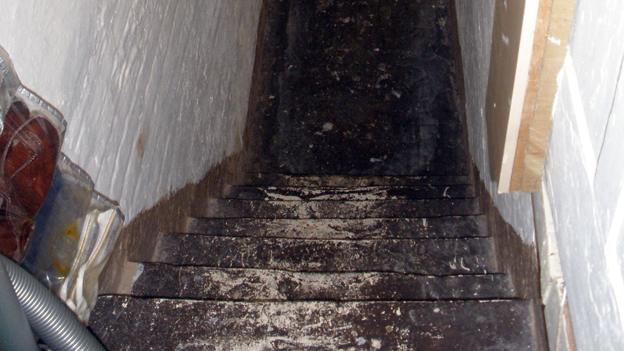 Cellar steps