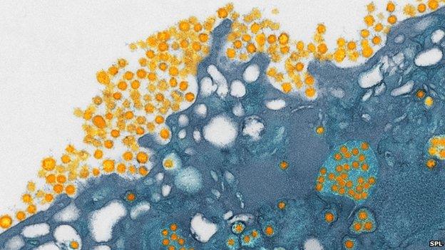 Coronavirus