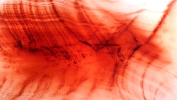 Work by Wolfgang Tilmans