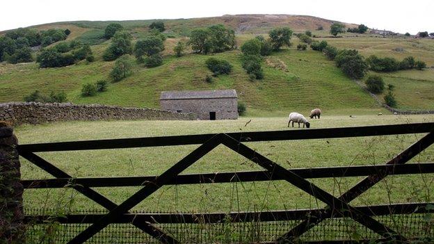 The Yorkshire Dales