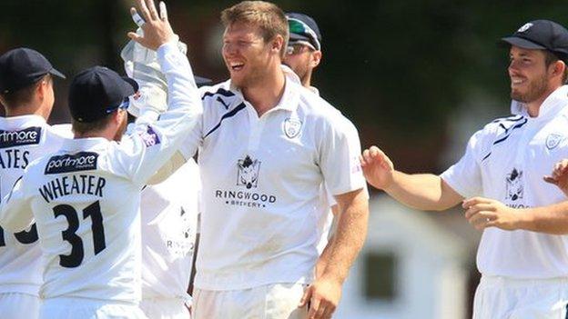 Hampshire celebrate a wicket