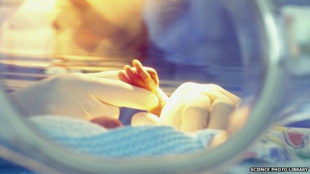 A nurse holds the hand of a premature baby