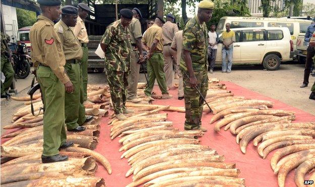 Kenyan police officers look on June 5, 2014 at 302 pieces of ivory, including 228 elephant tusks, found and seized the day before in a warehouse during a raid in the port city of Mombosa