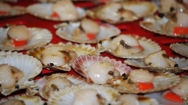 Scallops