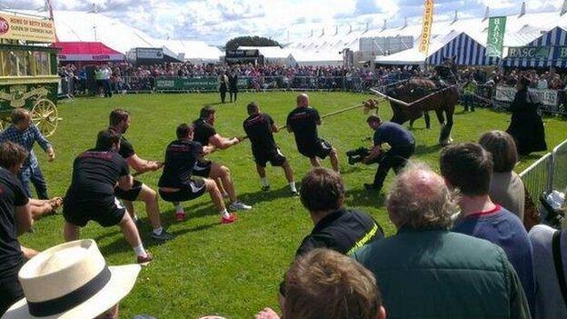 Horse tug of war