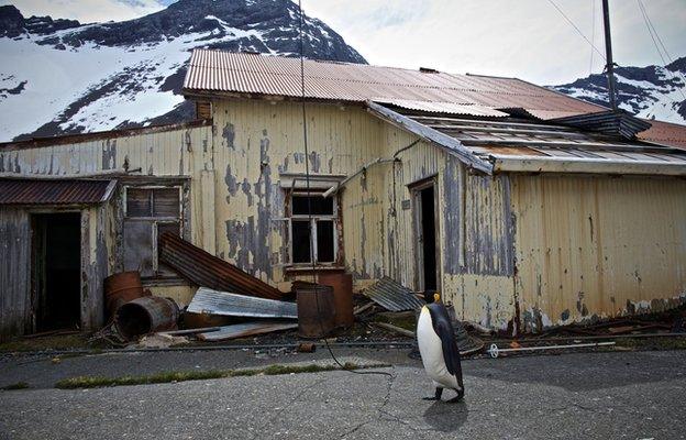 Whaling station