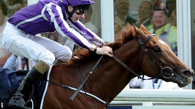 Racehorse Australia ridden by Jospeh O'Brien