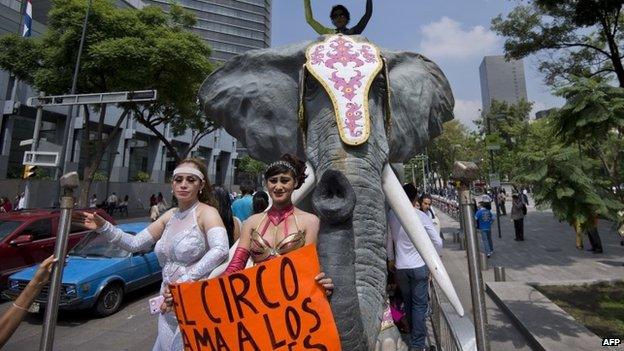 Circus employees hold a sign saying "Circus loves animals" - 10/06/2014