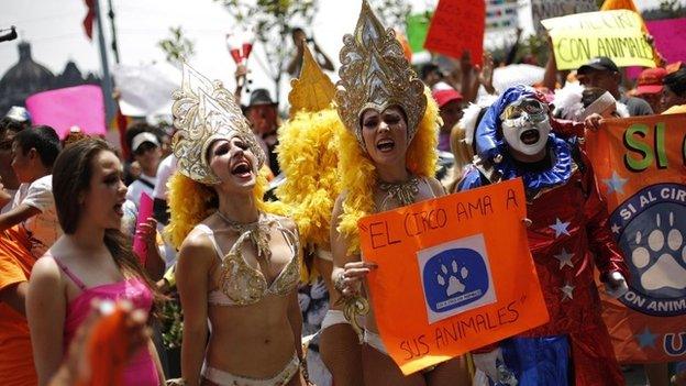 Circus artists carry signs ready "Circus loves animals". 10/06/2014