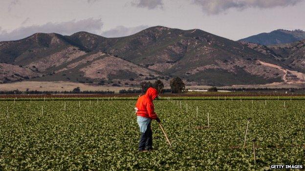 A farm worker appeared near Gonzales, California, on 4 April 2013