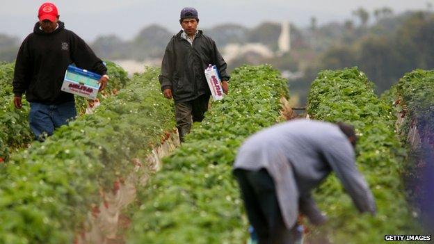 Farm workers appeared in Carlsbad, California, on 28 April 2006