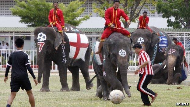 Thai students play soccer with elephants at a school in Thailand's Ayutthaya province June 9