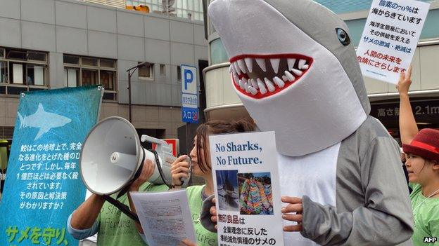 Some 30 protestors chant anti-shark hunting slogans 'Stop selling shark fin soup' in front of a store of the Muji supermarket chain in Tokyo on 6 October, 2013