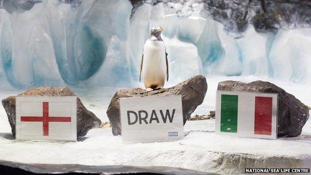 Alf the penguin predicts a draw for England