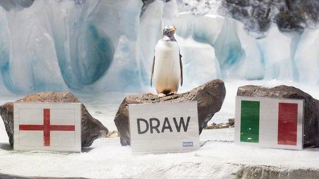 Alf the penguin predicts a draw for England