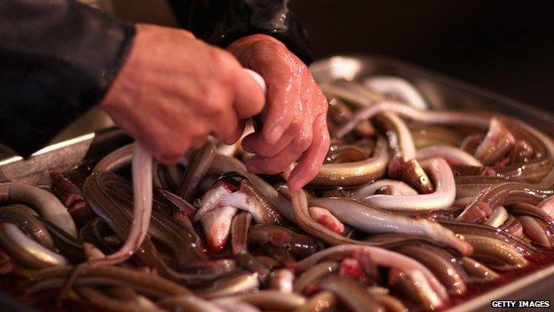 A worker packs eels at Tsukiji Fish Market on 30 October, 2008 in Tokyo, Japan