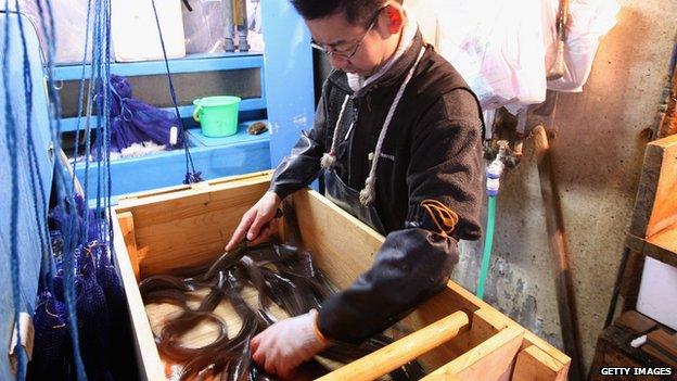 A worker kills eels at Tsukiji Fish Market on 30 October, 2008 in Tokyo, Japan