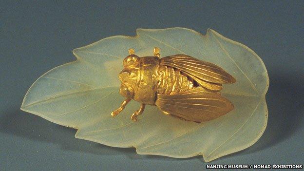 golden cicada