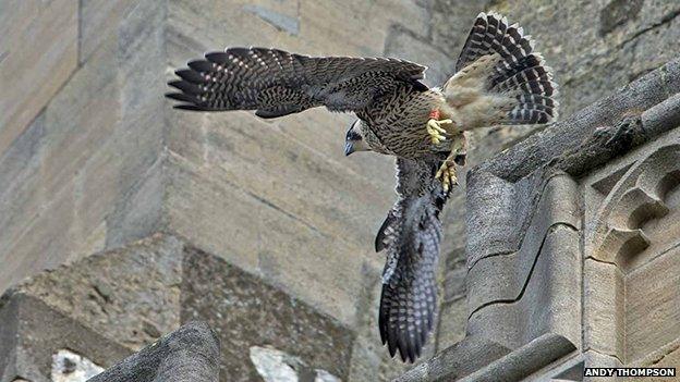 YT in flight at Norwich Cathedral