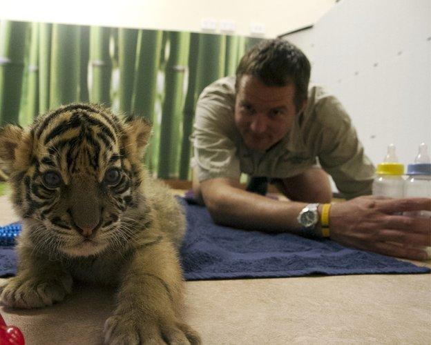 Giles Clark preparing tiger milk formula