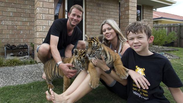 Tigers in garden with family