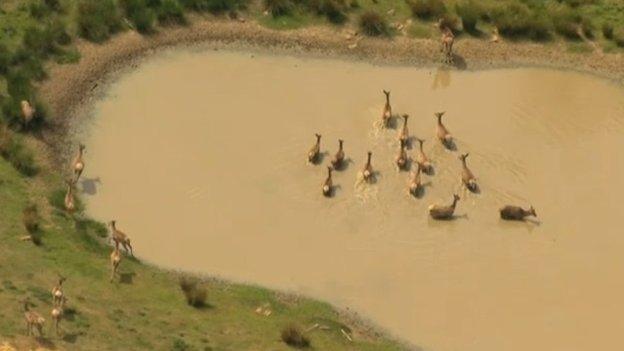 RSPB Minsmere