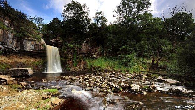 Thornton Force