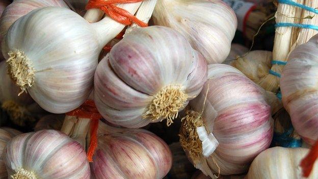 Garlic bulbs