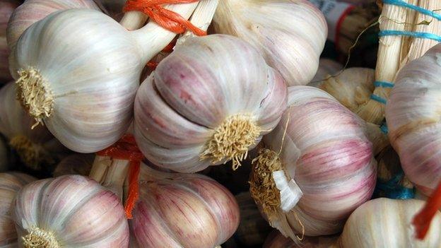 Garlic bulbs