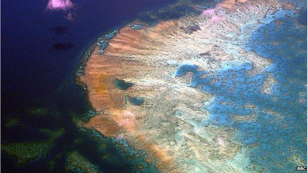 Picture of the Great Barrier Reef, which can be seen from space.