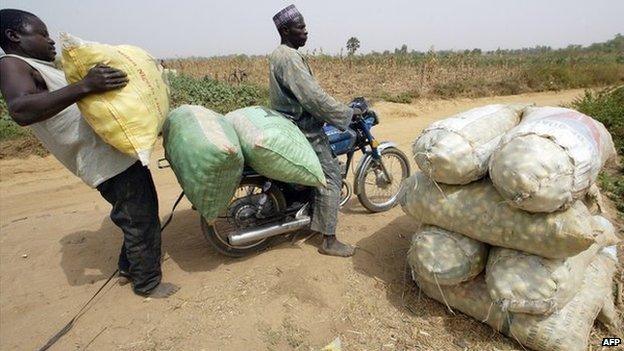 A man loading vegetable on a bike at Buruku, in Kaduna State, Nigeria (February 2006)