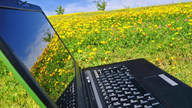 Laptop in a field