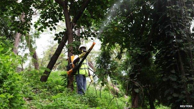 A man fumigates in Haiti, where the chikungunya virus has been spreading, in May 2014