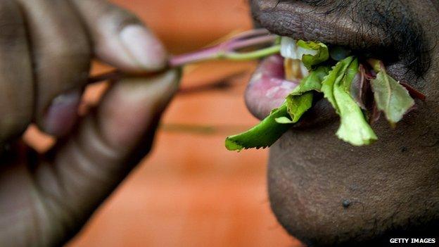 A man chewing khat leaves