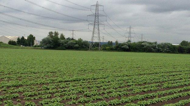 Land earmarked for a solar park on Deeside