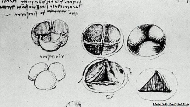 Heart valves drawing by Leonardo da Vinci