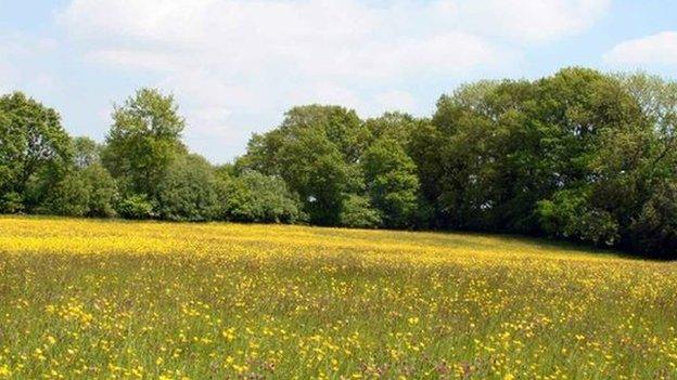 The Birches Farm site