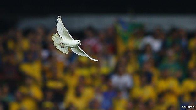 Dove released at the World Cup opening ceremony