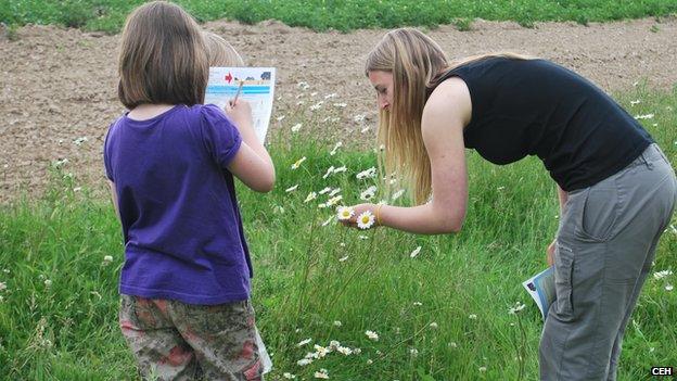 Children taking part in a farmland pollinator survey (Image: CEH)