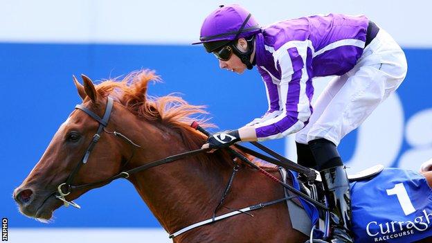 Racehorse Australia ridden by Joseph O'Brien